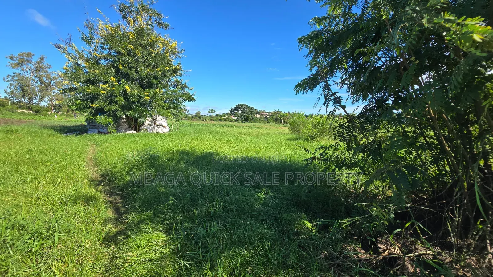 Plot for Sale at Bagamoyo Kilomo
