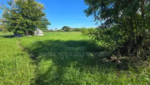 Plot for Sale at Bagamoyo Kilomo