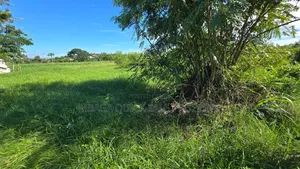 Plot for Sale at Bagamoyo Kilomo