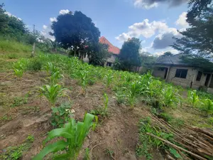 3bdrm House in Goba for sale