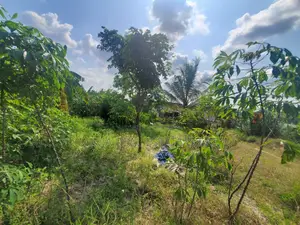 Kiwanja Kinauzwa Madale Polisi