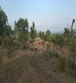 Plot for Sale Msamvu Morogoro Facing the Dar Es Salaam Road