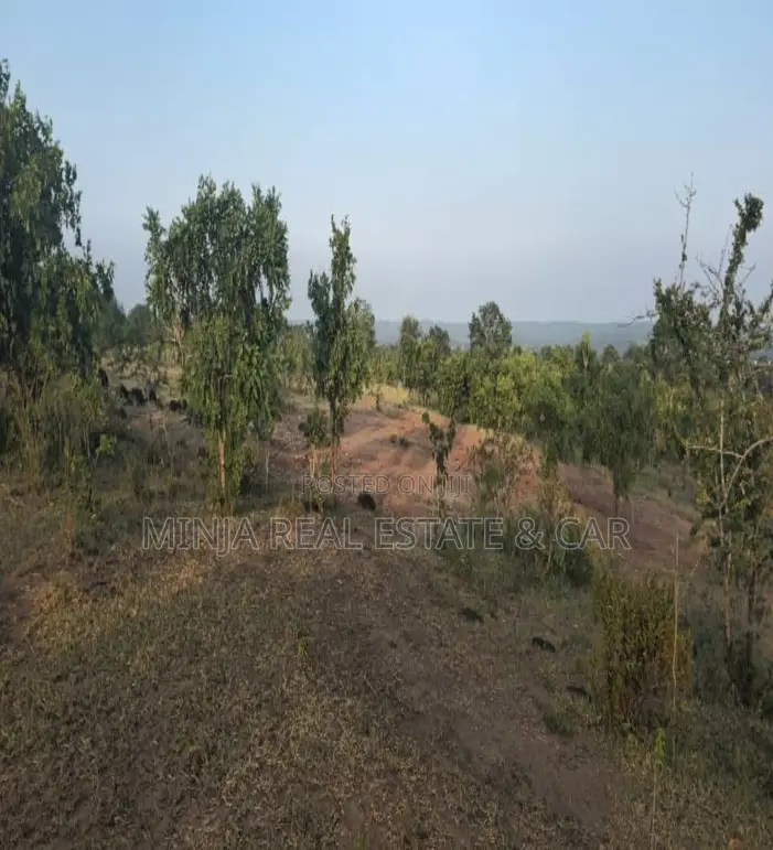 Plot for Sale Msamvu Morogoro Facing the Dar Es Salaam Road