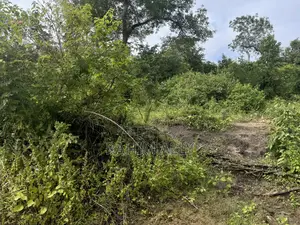 Land for Sale Kiwangwa