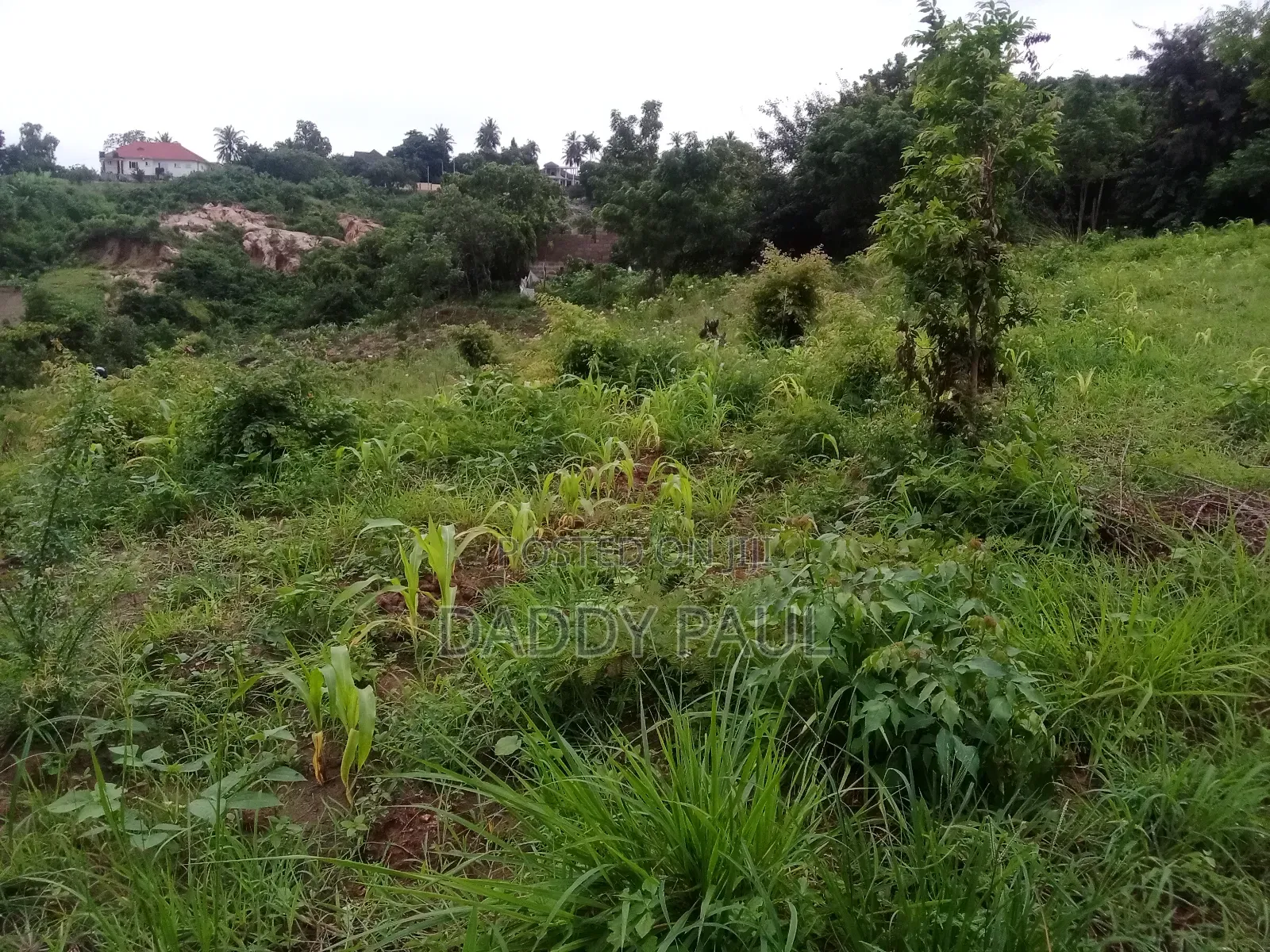 1399 SQM Plot for Sale