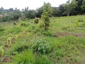 1399 SQM Plot for Sale