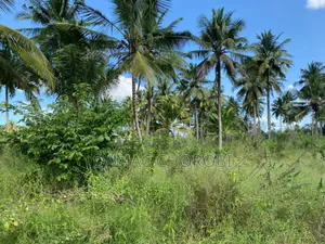 Industrial Plot for Sale Mwanambaya Mkuranga