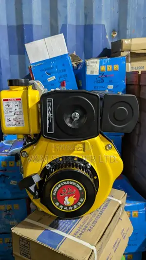Diesel Engine 173f