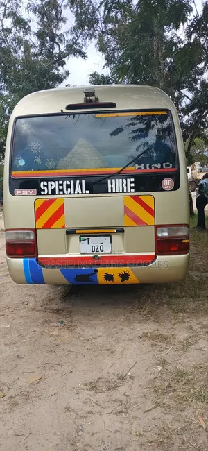 Toyota Coaster 2004 Gold