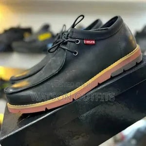 Men's New and Original Levis Brand Shoes