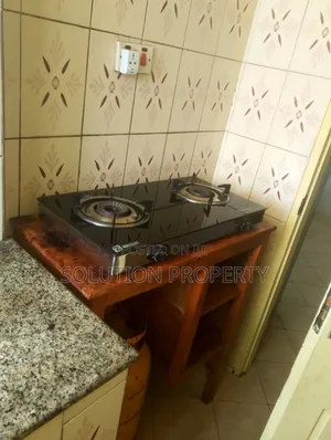 Furnished 1bdrm Apartment in Kariakoo for rent