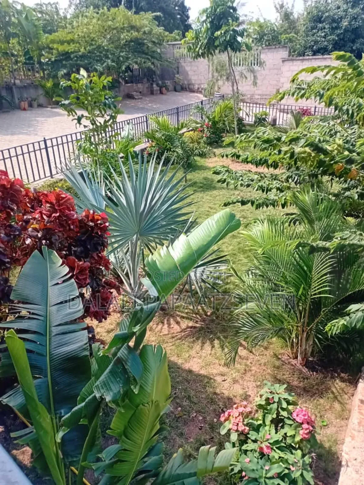 2bdrm Apartment in Dalalipapaatzseven, Goba for rent