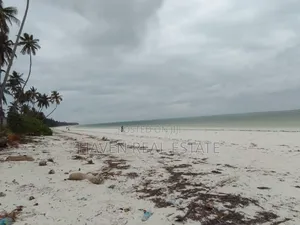 Beach Plot for Sale at Zanzibar