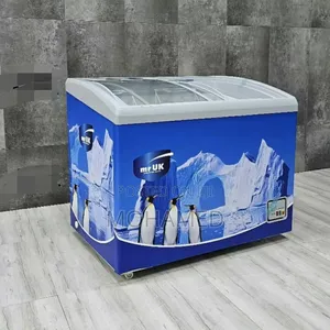 Mr Uk Showcase Freezer 260l