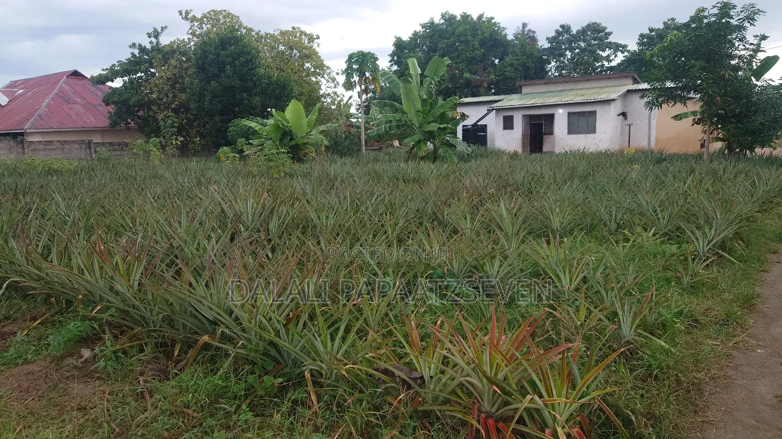 3bdrm House in Dalalipapaatzseven, Mwavi for sale