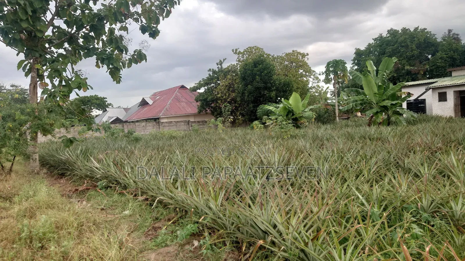 3bdrm House in Dalalipapaatzseven, Mwavi for sale