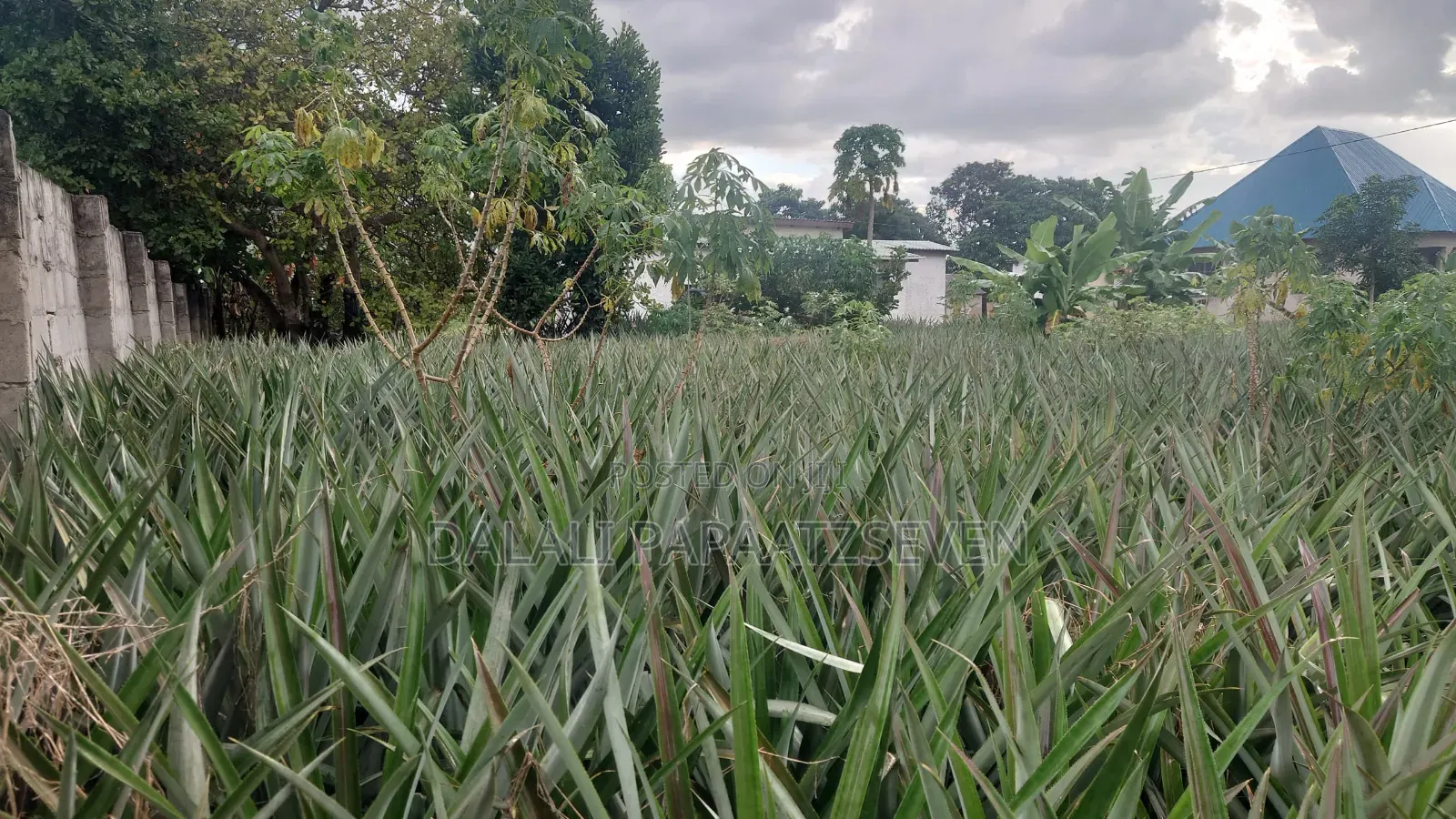 3bdrm House in Dalalipapaatzseven, Mwavi for sale