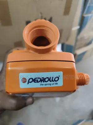 Pedrollo Pressure Controller