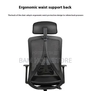 Ergonomic Sedentary Work Chair /Office Chair