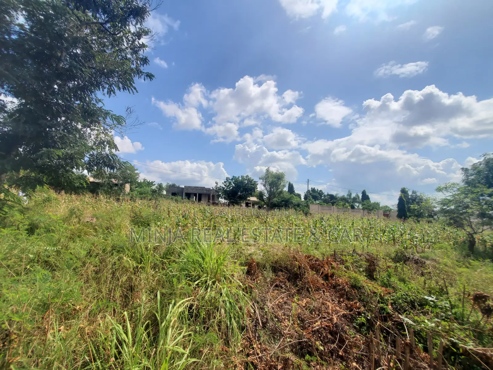Kiwanja Kinauzwa Madale Kwa Mzungu