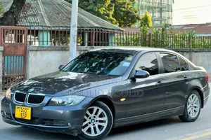 BMW 3 Series 2007 Gray