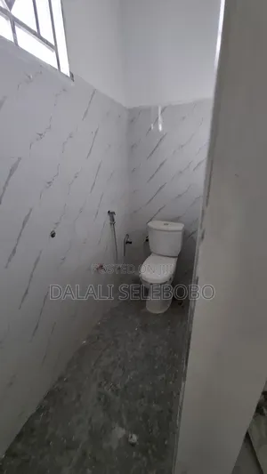 Frem With Toilet and Store 2gether at Sinza Palestina