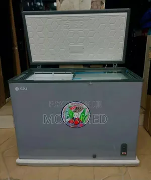 SPJ Chest Freezer 300l
