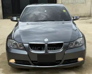 BMW 3 Series 2007 Gray