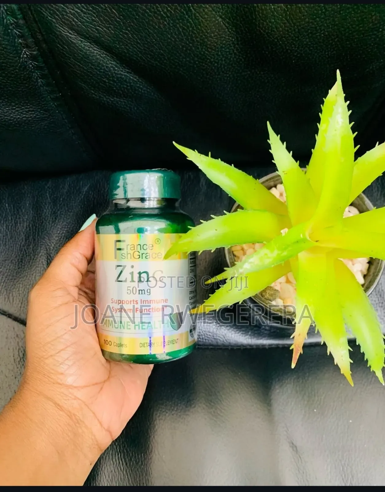 Since Supplement