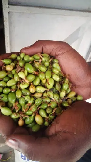Dry And Raw Cardamom