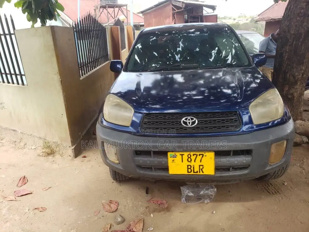 Toyota RAV4 Cabriolet 1998 Blue