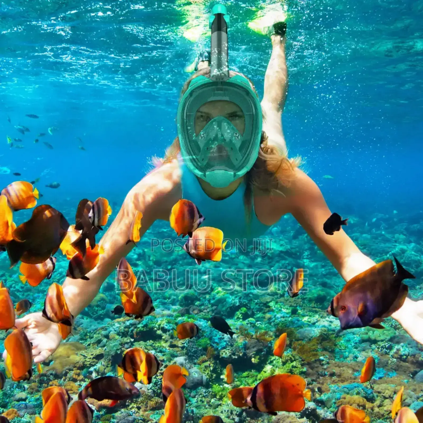 Diving Swimming Free
