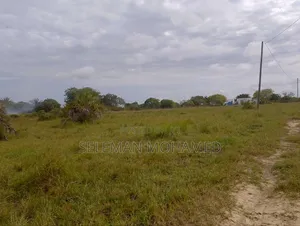 Shamba Linauzwa Kigamboni Buyuni
