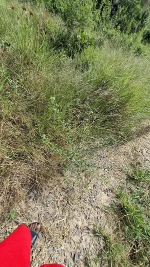 Double Plot at Mapinga Gari MPK Site