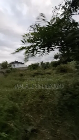 4hector It Look at Tarmac at Mapinga Bagamoyo