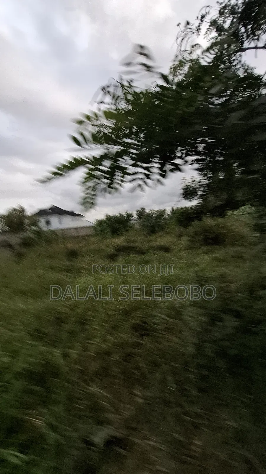 4hector It Look at Tarmac at Mapinga Bagamoyo