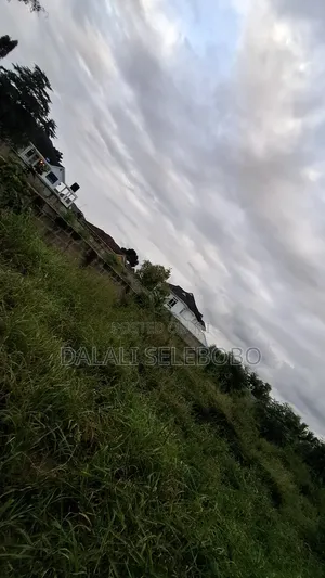 4hector It Look at Tarmac at Mapinga Bagamoyo
