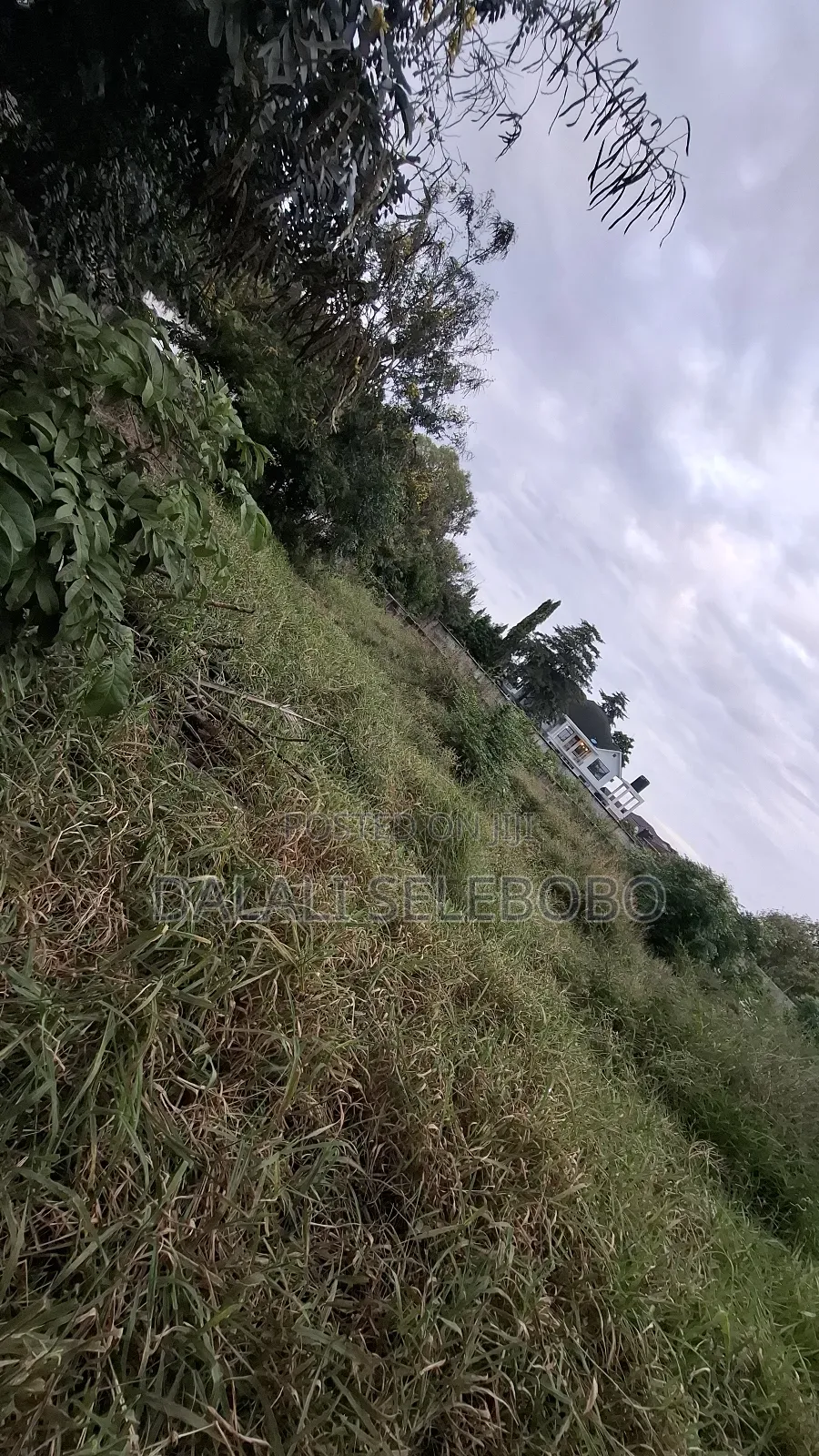 4hector It Look at Tarmac at Mapinga Bagamoyo