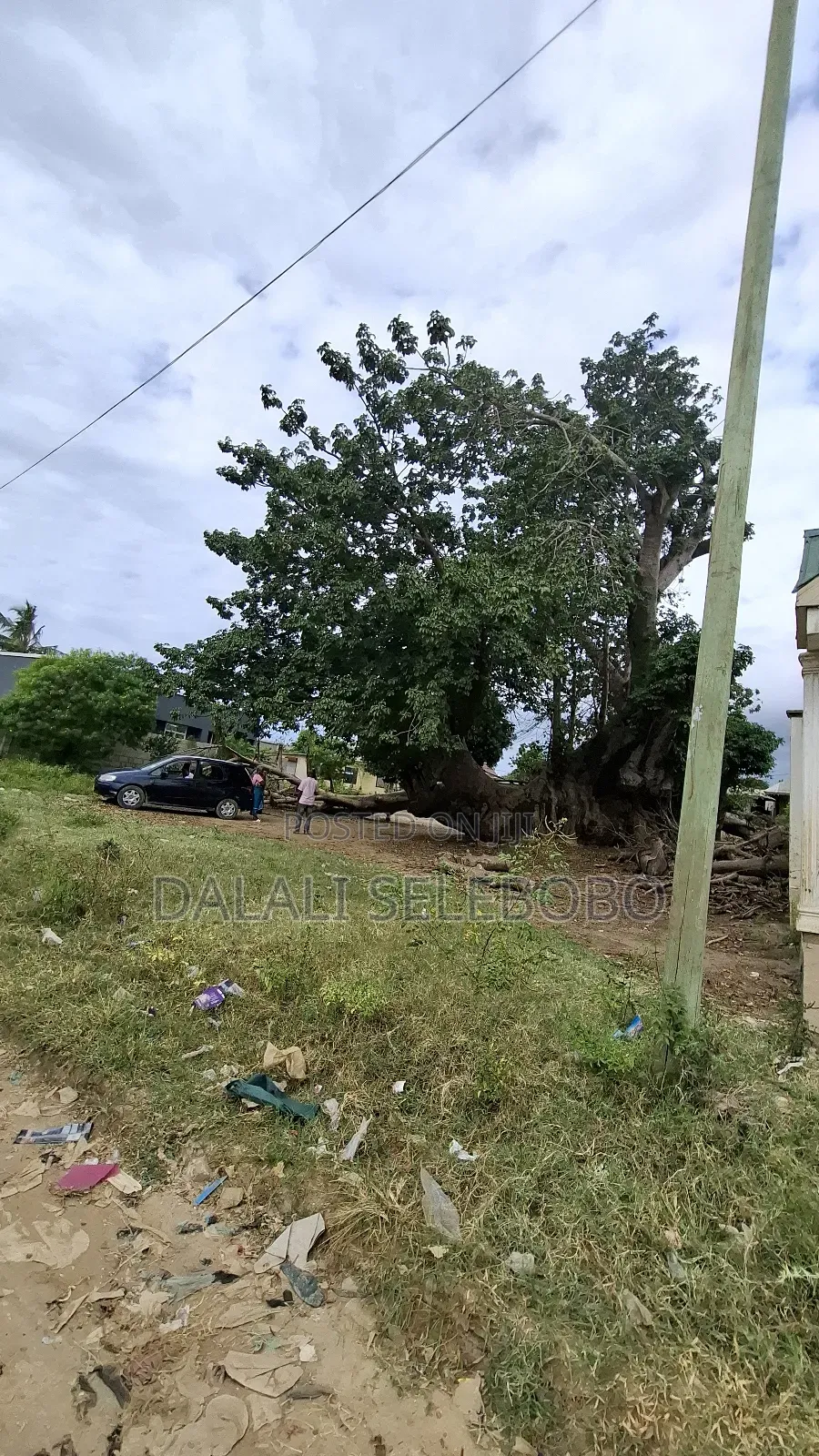 4hector It Look at Tarmac at Mapinga Bagamoyo