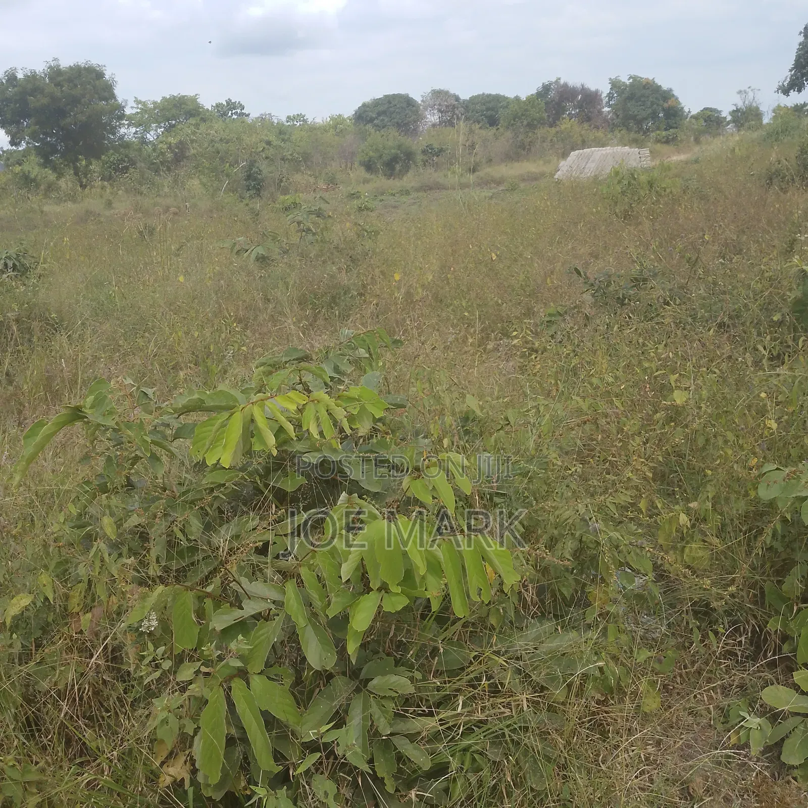 Kiwanja Kinauzwa Kibaha