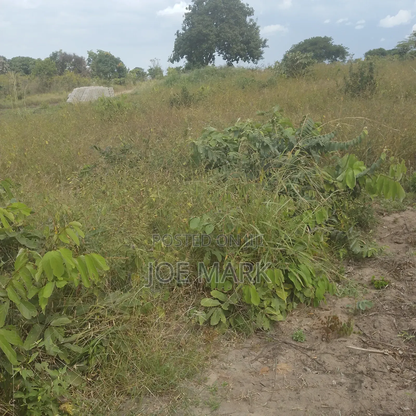Kiwanja Kinauzwa Kibaha