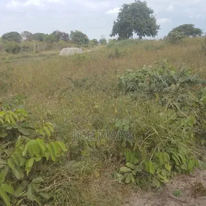 Kiwanja Kinauzwa Kibaha