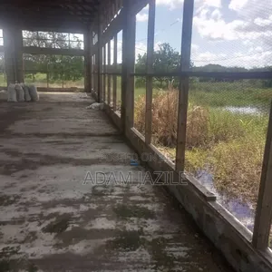 Mabanda Ya Ufugaji Wa Kuku Yanakodiswa Bagamoyo