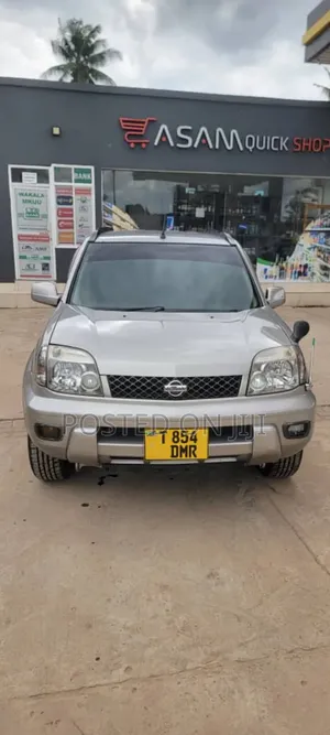 Nissan X-Trail 2005 Gray