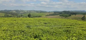 Plot With 119 Acres for Sale at Iringa Mufindi