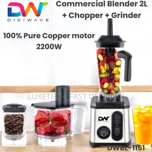 Digiwave 3 in 1 Commercial Blender 2l