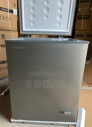 Skyworth Freezer