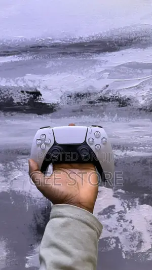 Ps5 Controller