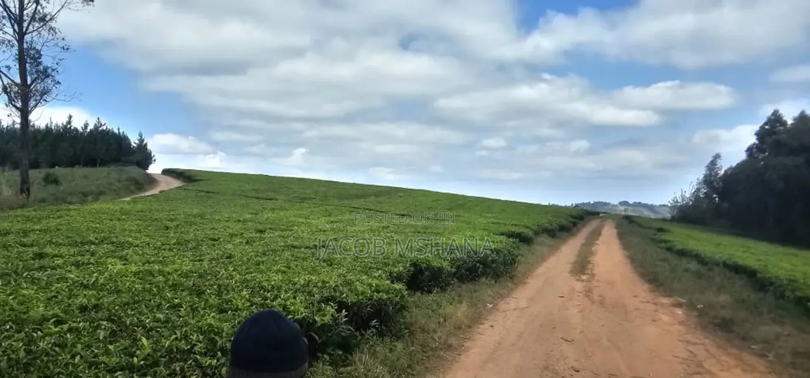 Shamba Linauzwa Mufindi Iringa
