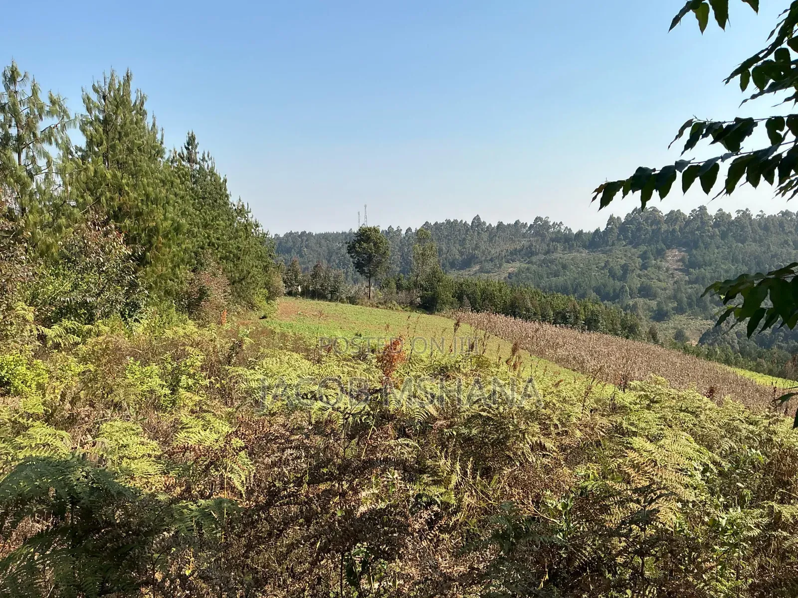 Shamba Linauzwa Kilolo